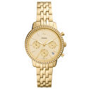 Fossil FES5219 Kadın Kol Saati