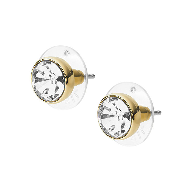 Fossil JOA00668-710 Kadın Küpe