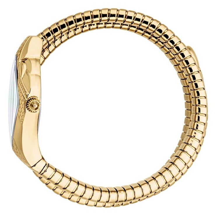 Just Cavalli JC1L307M0025 Kadın Kol Saati