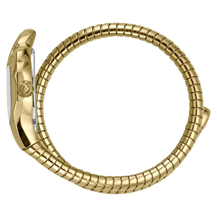 Just Cavalli JC1L001M0025 Kadın Kol Saati