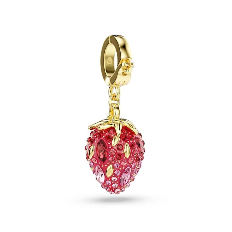 Swarovski SWR5743136 Kadın Charm Bileklik Ucu