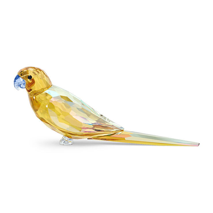 Swarovski SWR5619217 Jungle Beats Yellow Parakeet Lechee Biblo