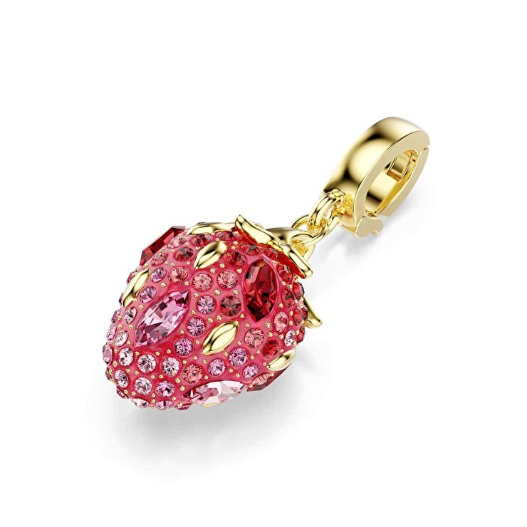 Swarovski SWR5743136 Kadın Charm Bileklik Ucu