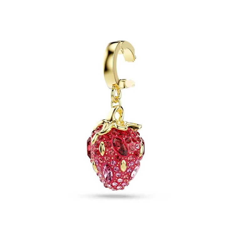 Swarovski SWR5743136 Kadın Charm Bileklik Ucu