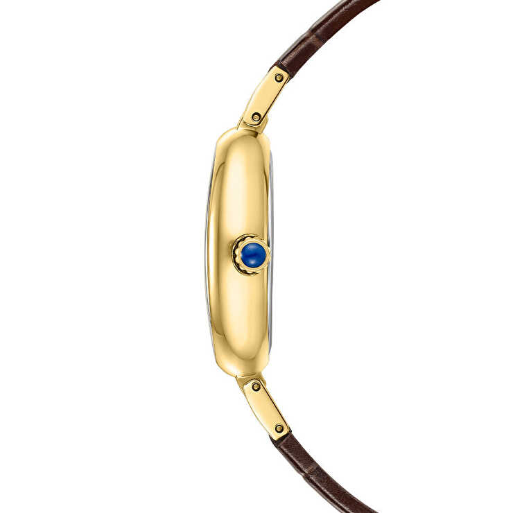 Roche Montre RML5027-01 Kadın Kol Saati