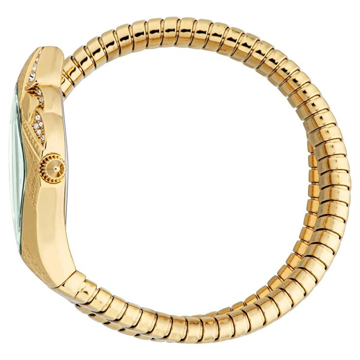 Just Cavalli JC1L306M0045 Kadın Kol Saati