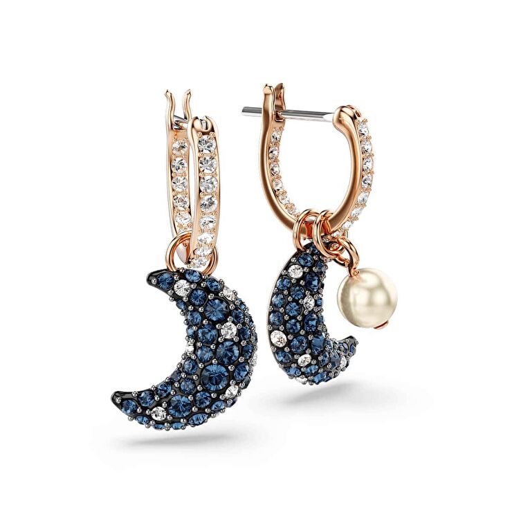 Swarovski SWR5671569 Kadın Küpe