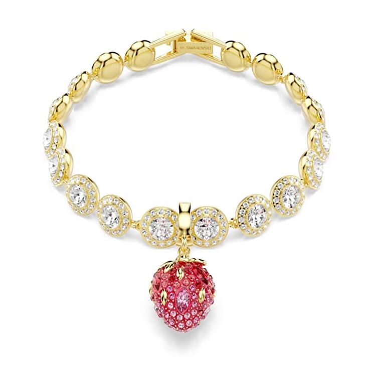 Swarovski SWR5743136 Kadın Charm Bileklik Ucu