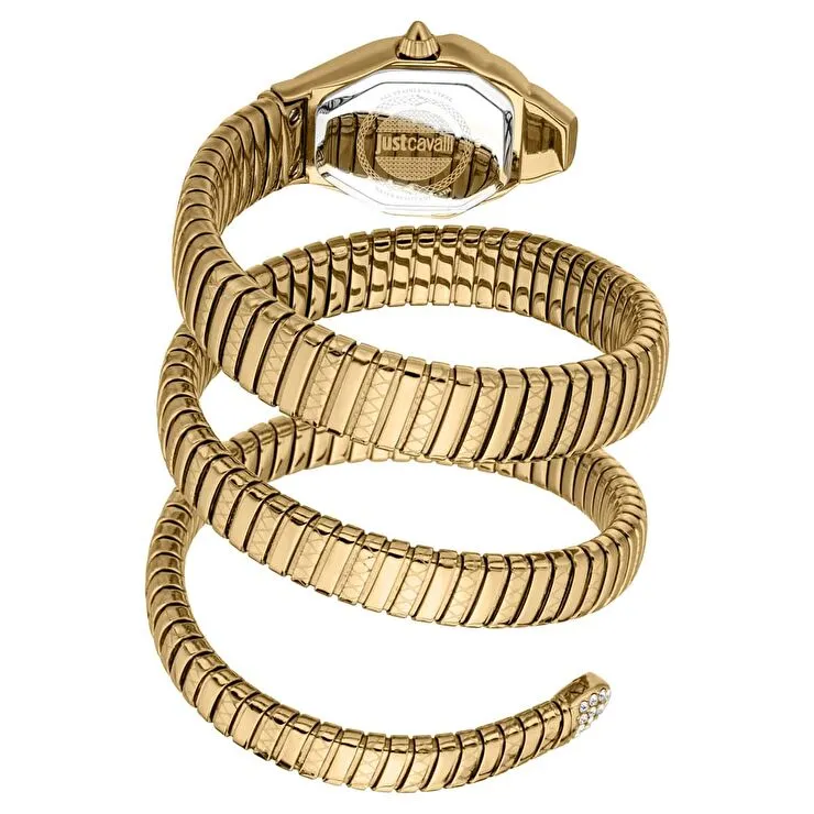 Just Cavalli JC1L370M0035 Kadın Kol Saati