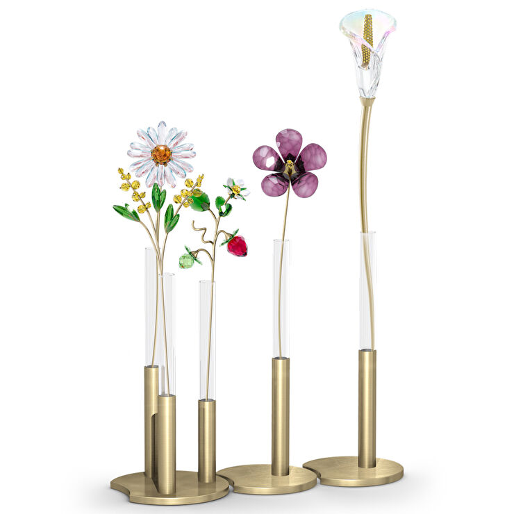 Swarovski SWR5557807 Garden Tales Biblo