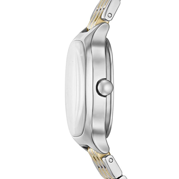Skagen SKW3160 Kadın Kol Saati