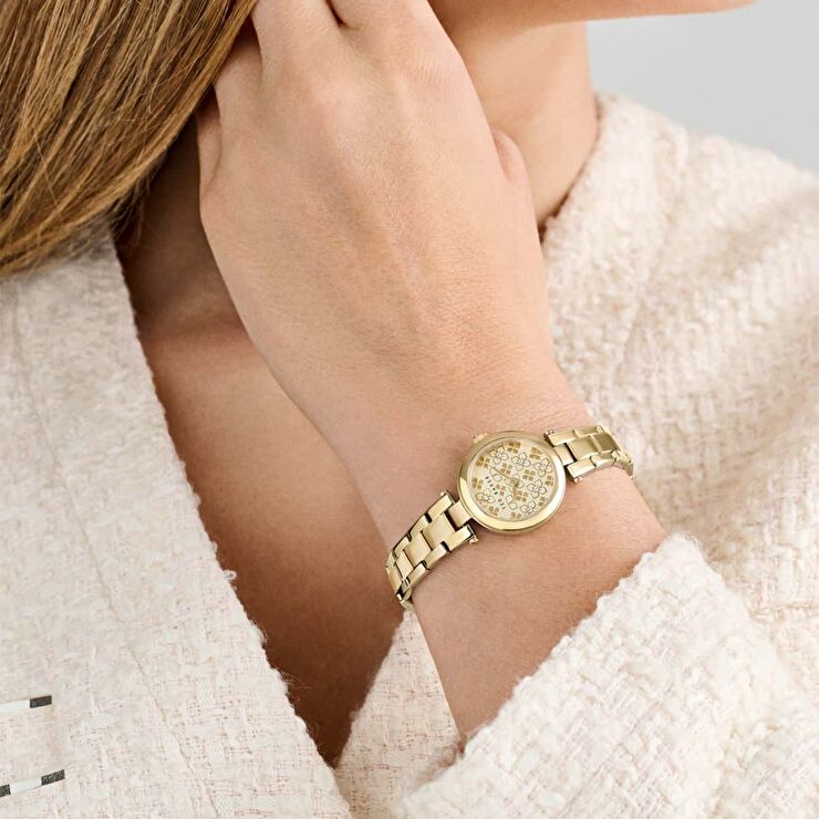 Ted Baker TBBKPJLF401 Kadın Kol Saati