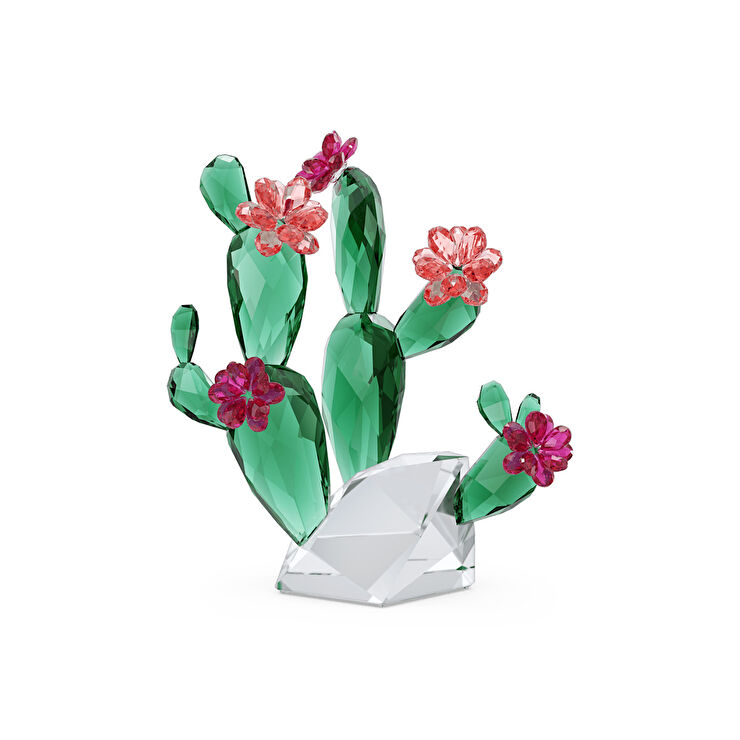 Swarovski SWR5426805 Crystal Flowers Desert Pink Cactus Biblo