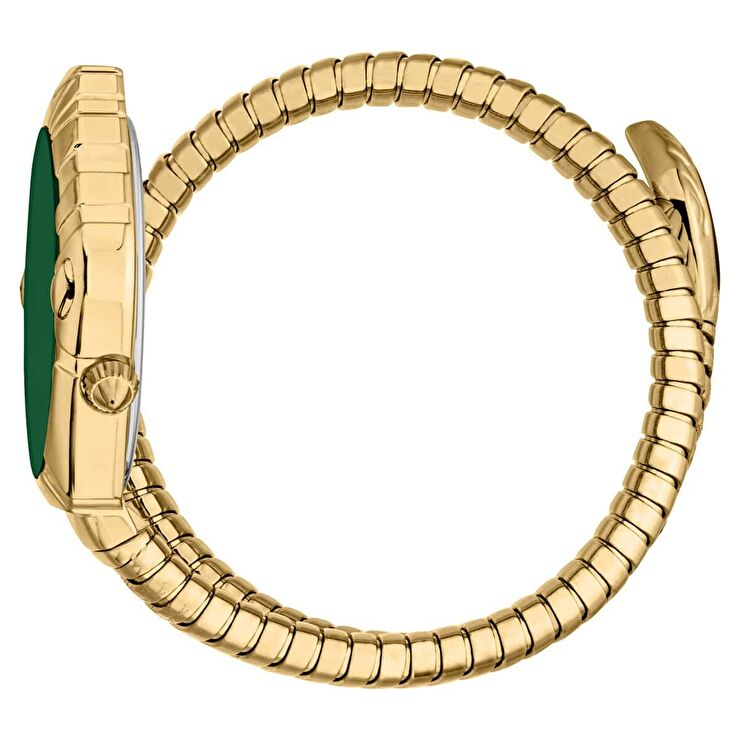 Just Cavalli JC1L357M0035 Kadın Kol Saati