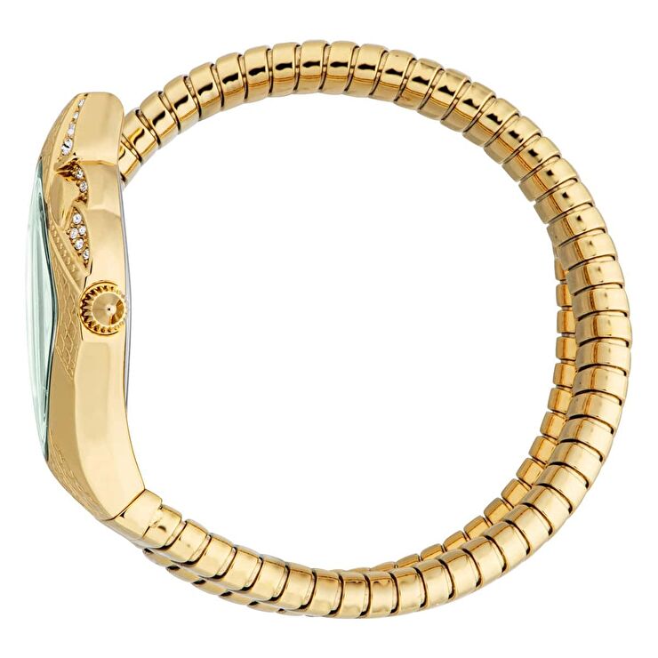 Just Cavalli JC1L306M0045 Kadın Kol Saati