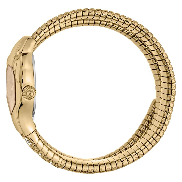 Just Cavalli JC1L112M0025 Kadın Kol Saati
