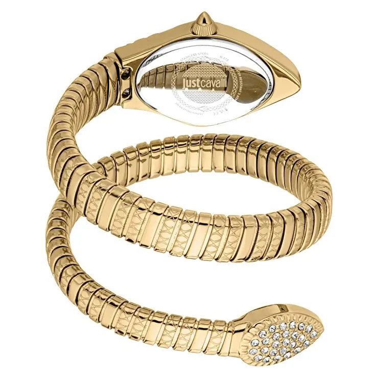 Just Cavalli JC1L373M0035 Kadın Kol Saati