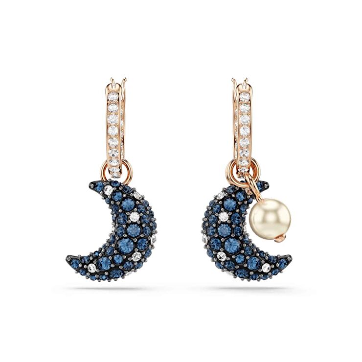 Swarovski SWR5671569 Kadın Küpe