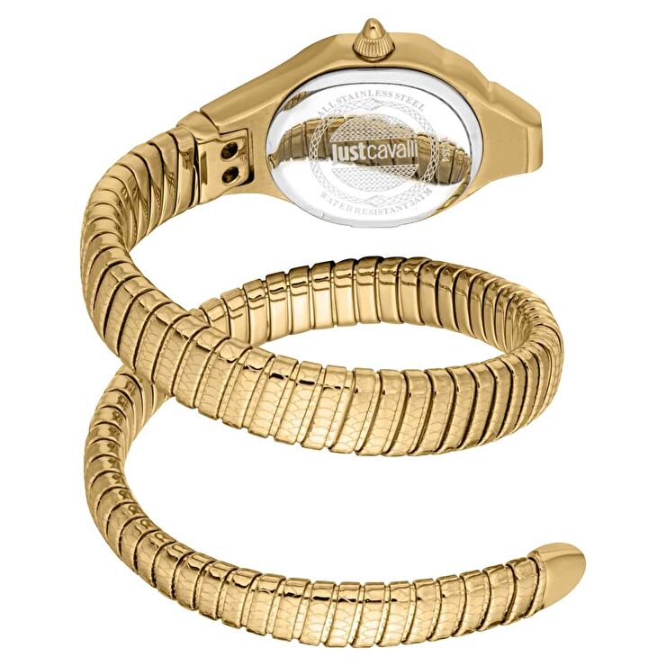 Just Cavalli JC1L354M0035 Kadın Kol Saati