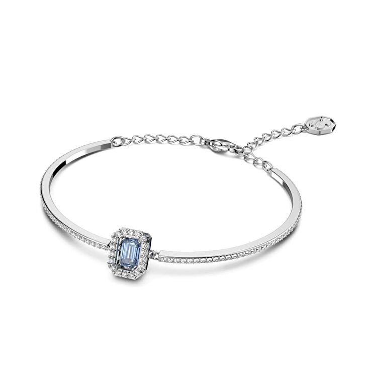 Swarovski SWR5620556 Kadın Bileklik