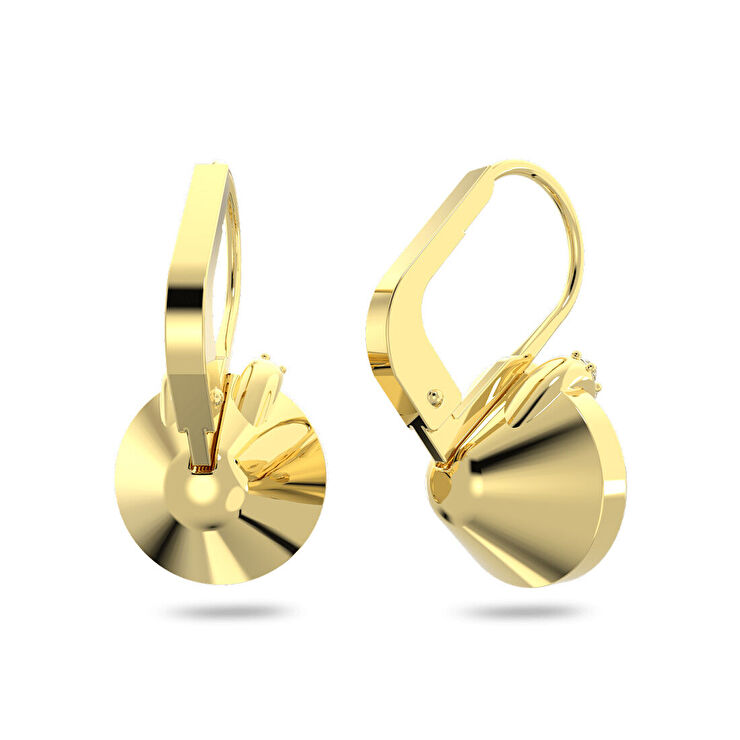 Swarovski SWR5662093 Kadın Küpe