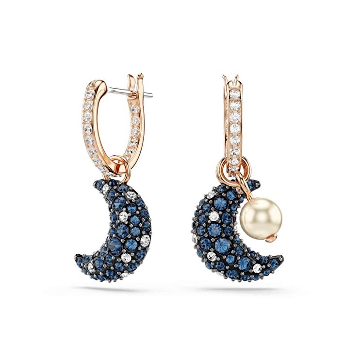 Swarovski SWR5671569 Kadın Küpe