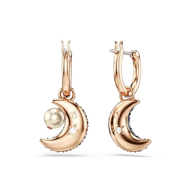 Swarovski SWR5671569 Kadın Küpe