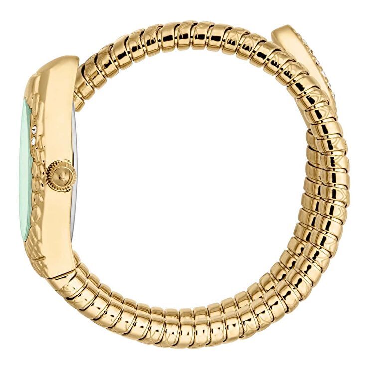 Just Cavalli JC1L373M0035 Kadın Kol Saati