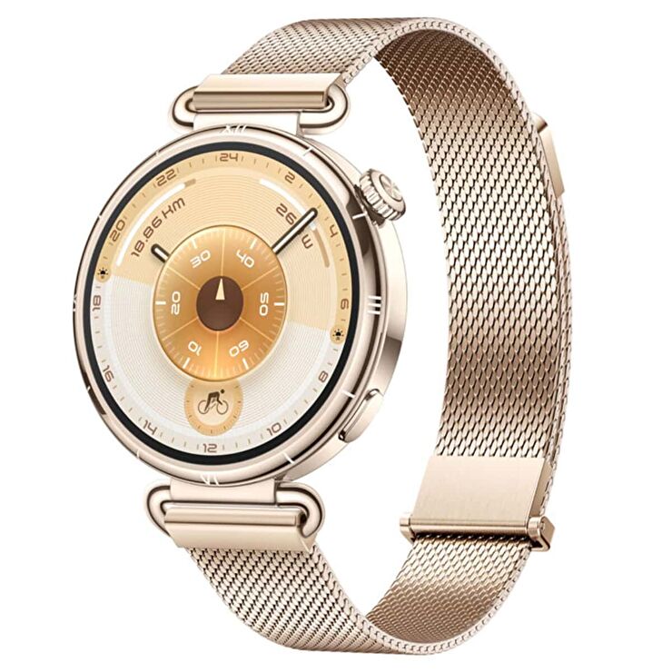 Huawei HW55020FTP Huawei Watch GT6 Akıllı Saat