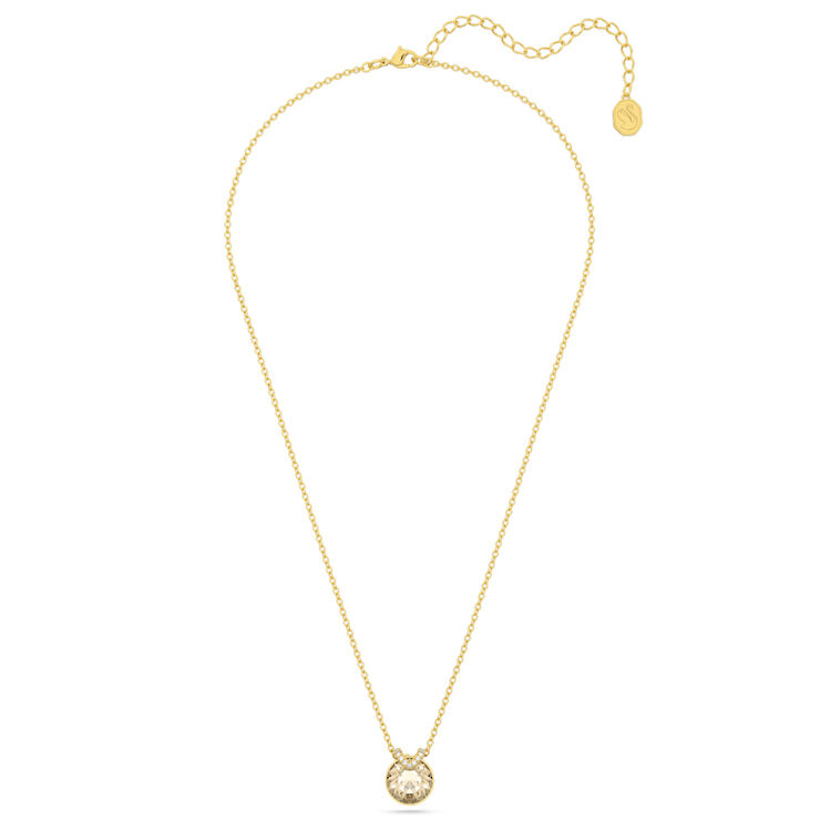 Swarovski SWR5662091 Kadın Kolye
