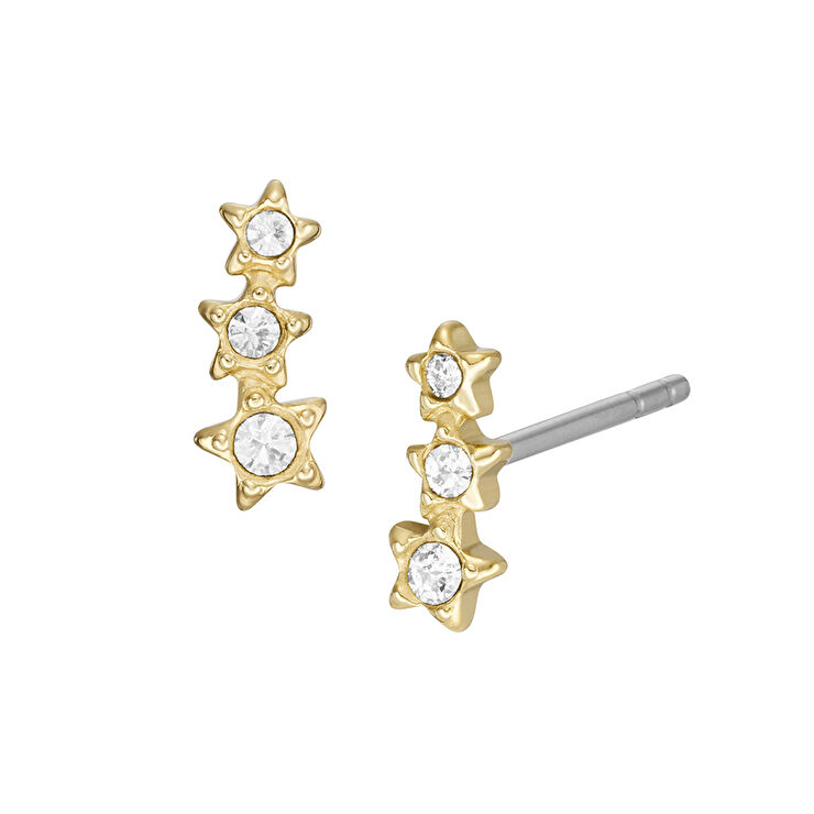 Fossil JF04241-710 Yıldız Kadın Küpe