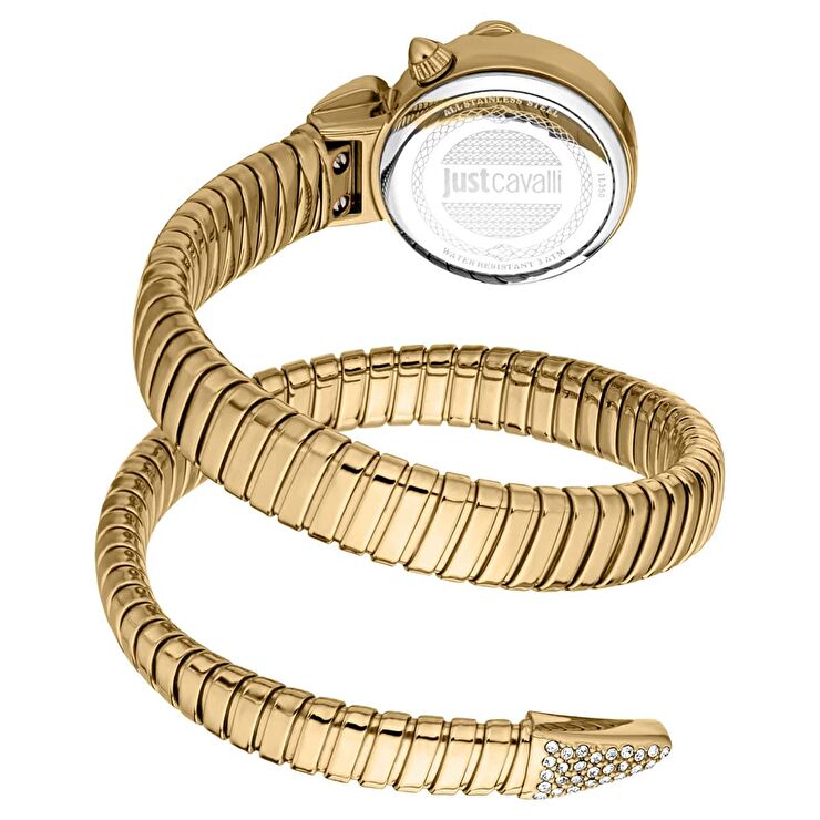 Just Cavalli JC1L350M0025 Kadın Kol Saati
