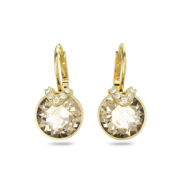 Swarovski SWR5662093 Kadın Küpe