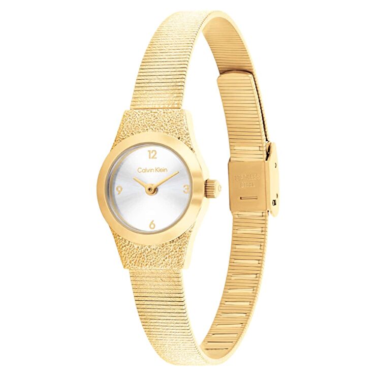 Calvin Klein CK25100193 Kadın Kol Saati