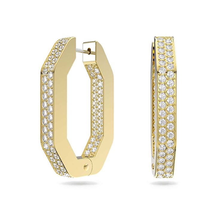 Swarovski SWR5639098 Kadın Küpe