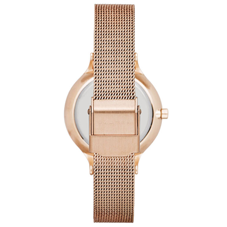 Skagen SKW2151 Kadın Kol Saati