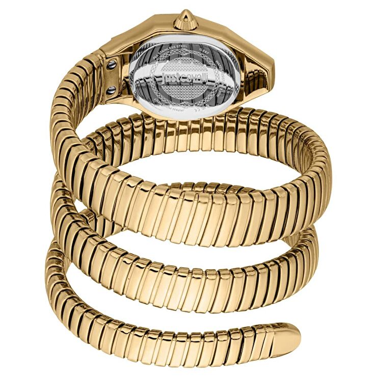 Just Cavalli JC1L397M0045 Kadın Kol Saati