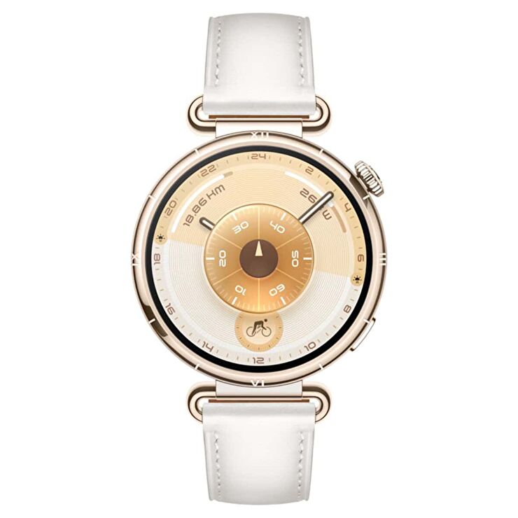 Huawei HW55020FTN Huawei Watch GT6 Akıllı Saat