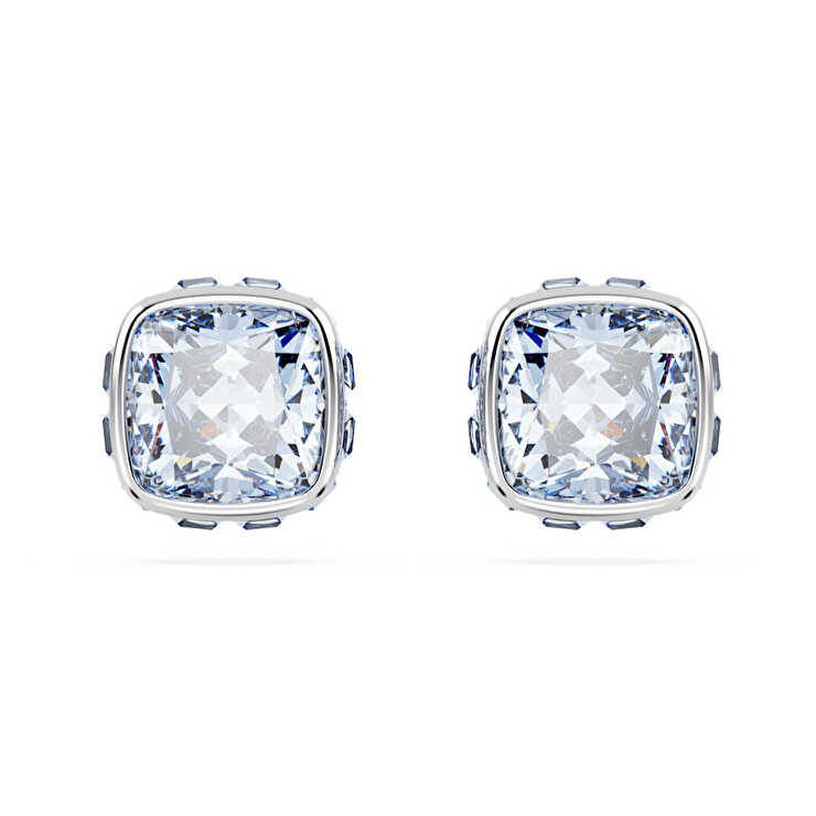 Swarovski SWR5660800 Kadın Küpe
