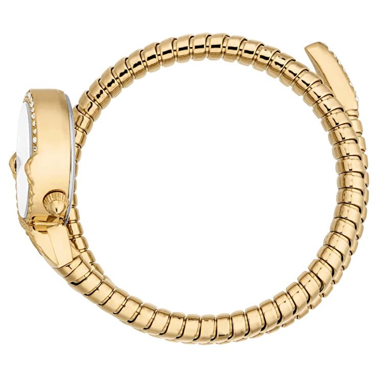 Just Cavalli JC1L350M0025 Kadın Kol Saati