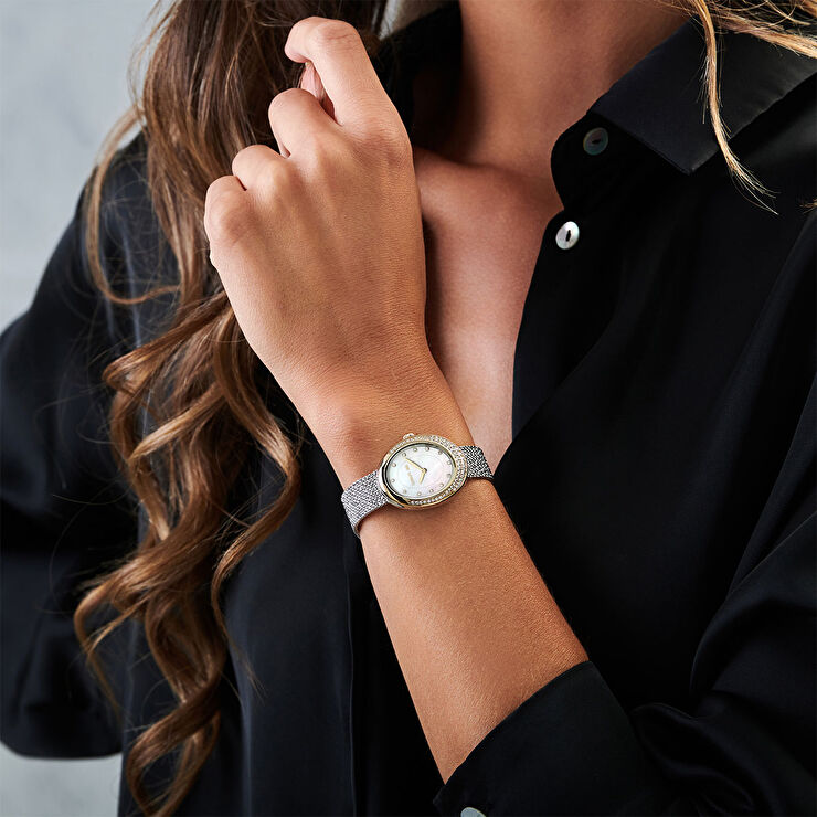 Cerruti 1881 CIWLG0012503 Kadın Kol Saati