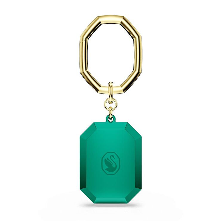 Swarovski SWR5666643 Anahtarlık