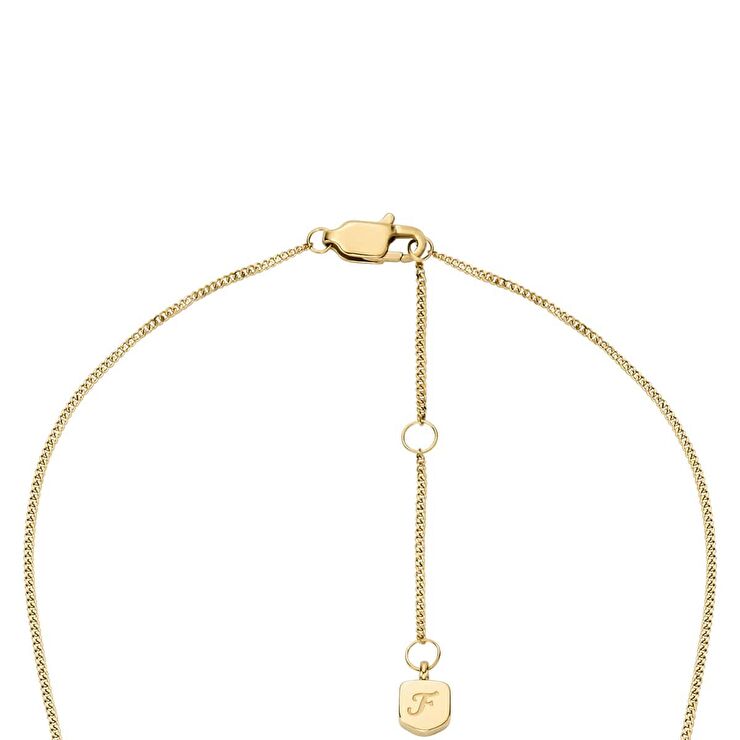 Fossil JF04920-710 Kelebek Kadın Kolye