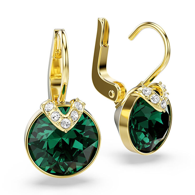 Swarovski SWR5735389 Kadın Küpe