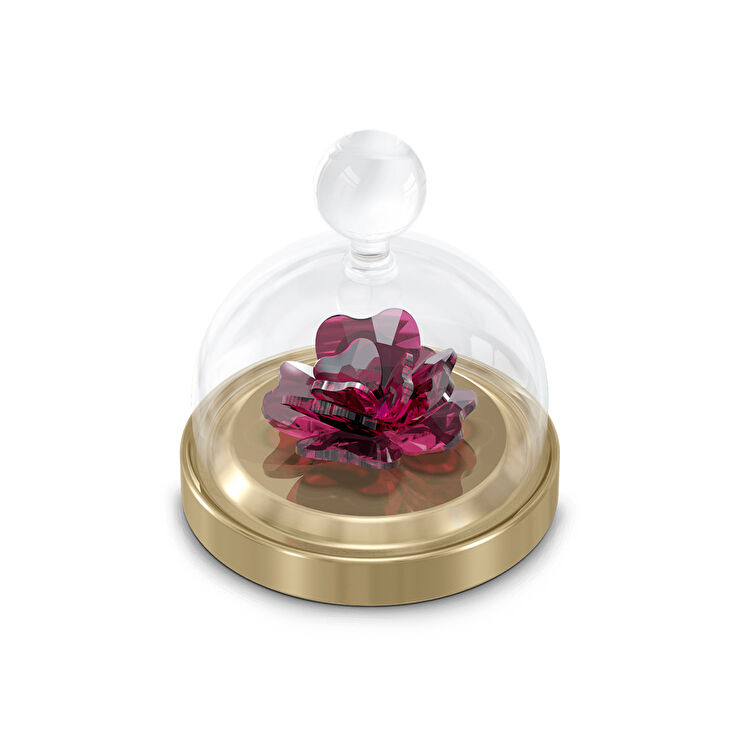 Swarovski SWR5619223 Garden Tales Biblo