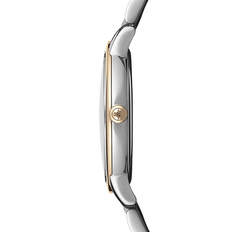 Raymond Weil RW5385SP520081 Pırlantalı Kadın Kol Saati