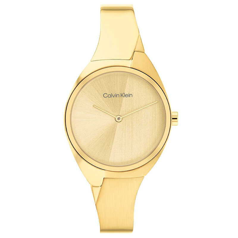 Calvin Klein CK25200235 Kadın Kol Saati
